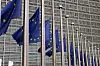En lang rekke EU-flagg