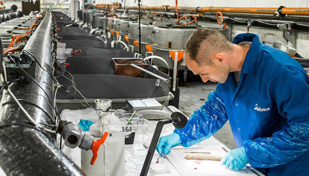 Er det problemstillingen som er kjøpt, eller mener man at konklusjonen er «kjøpt og betalt», spør forsker Audun Iversen. Foto: Terje Aamod/Nofima Er det problemstillingen som er kjøpt, eller mener man at konklusjonen er «kjøpt og betalt», spør forsker Audun Iversen. Foto: Terje Aamod/Nofima