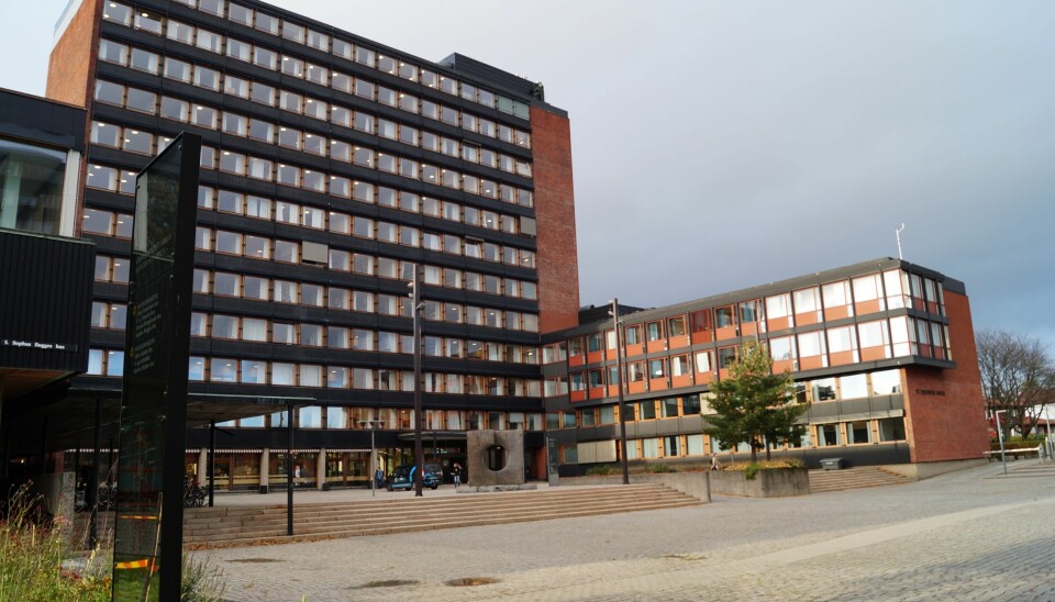 Universitetet i Oslo trenger 8,6 milliarder kroner over 10 år for å vedlikeholde bygg. Foto: Brage Lie Jor