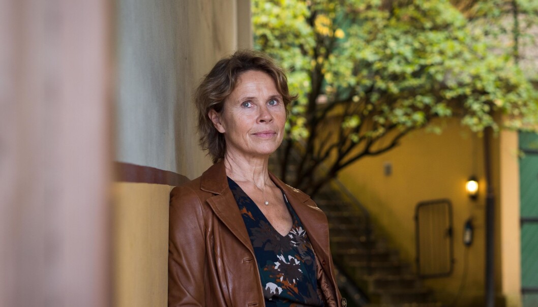 Instituttdirektør Hilde Lorentzen på NIBR mener at hennes institutt, mildt sagt, passer perfekt inn i planene om at Høgskolen i Oslo og Akershus skal bli et storbyuniversitet. Foto: Petter Berntsen Instituttdirektør Hilde Lorentzen på NIBR mener at hennes institutt, mildt sagt, passer perfekt inn i planene om at Høgskolen i Oslo og Akershus skal bli et storbyuniversitet. Foto: Petter Berntsen