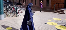 Isaksen med forbud mot niqab i høyere utdanning