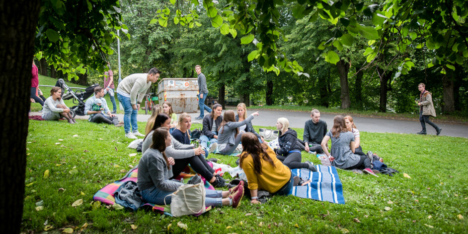 Nye studenter og faddere under grillkonserten på St. Hanshaugen i Oslo under studiestart. Foto: Skjalg Bøhmer Vold