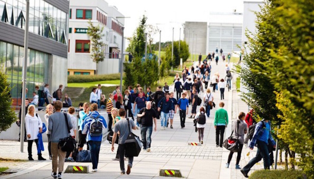 En student ved Universitetet i Stavanger mottok upassende meldinger fra sin professor i vårsemesteret. Foto: Universitetet i Stavanger En student ved Universitetet i Stavanger mottok upassende meldinger fra sin professor i vårsemesteret. Foto: Universitetet i Stavanger