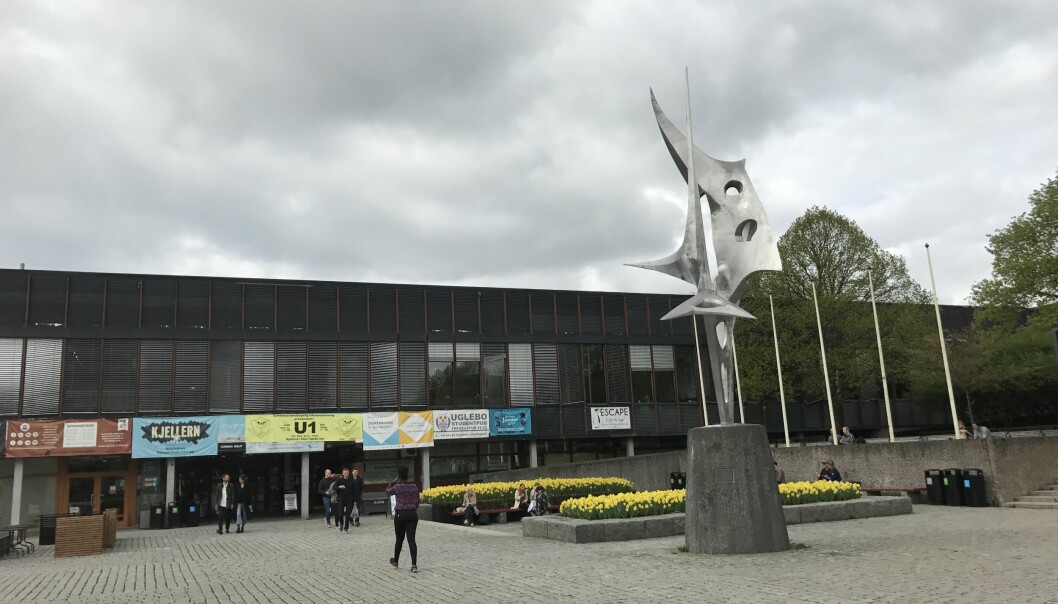 Fondet UNIFOR som Universitet i Oslo etablerte i 1993, disponerer rundt 2 milliarder og vil bli helt fossilfritt med tanke på hvor de plasserer pengene sine. Foto: Eva Tønnessen