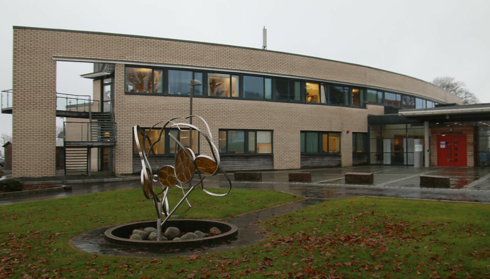 Stord campus på Høgskulen på Vestlandet. Foto: Marthe Njåstad