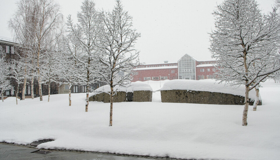 ARKIVBILDE: Universitetet i Tromsø..
