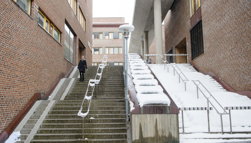 Torsdag ble forslag til fakultetsinndeling på UiT Norges arktiske universitet lagt fram. Foto: Lars Åke Andersen Torsdag ble forslag til fakultetsinndeling på UiT Norges arktiske universitet lagt fram. Foto: Lars Åke Andersen