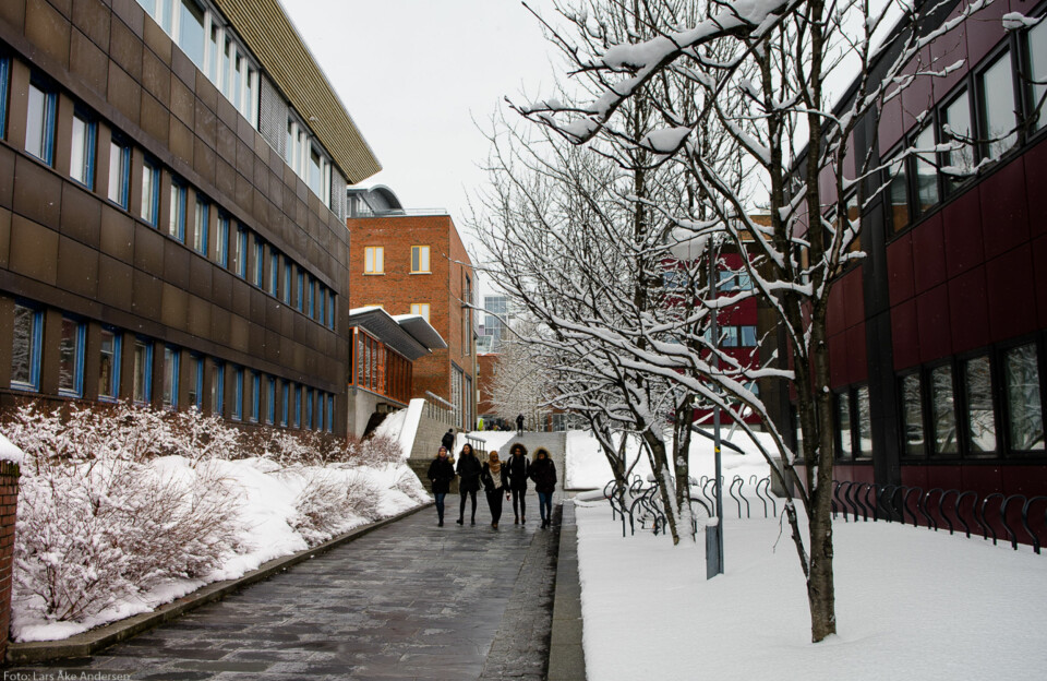 UiT Norges arktiske universitet skal ny studiemodell, en såkalt byggeklossmodell med et tak på mengden programfag. Modellen møtes med kritikk i humanistiske og samfunnsvitenskapelge fagmiljøer.