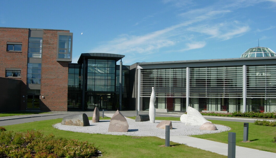 Høgskolen i Nesna ble en del av Nord universitet 1. januar 2016. Illustrasjonsfoto fra Nord universitet studiested Bodø. Foto: Lars Røed Hansen/Nord universitet Høgskolen i Nesna ble en del av Nord universitet 1. januar 2016. Illustrasjonsfoto fra Nord universitet studiested Bodø. Foto: Lars Røed Hansen/Nord universitet