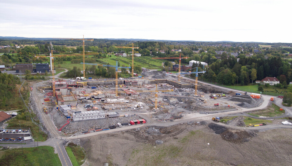 Sju store kraner står i byggegropa på NMBUs campus i Ås, der det største byggeprosjektet i sitt slag noensinne i universitets- og høgskolesektoren pågår.Kostnadsberegnet til 7,5 mrd kroner. Foto: Statsbygg