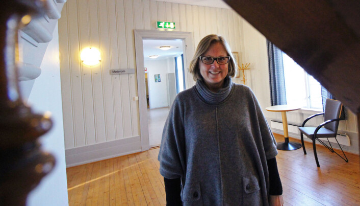 Sarah J. Paulson, dekan lærerutdanning, OsloMet. Sarah J. Paulson, dekan lærerutdanning, OsloMet.