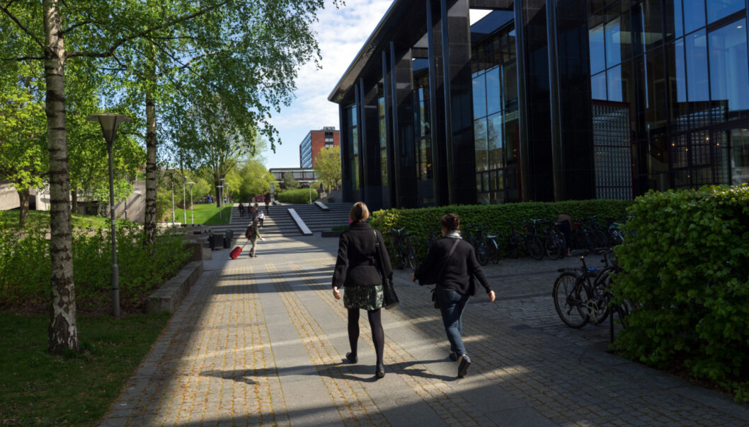 Åste Dokka tok sin doktorgrad ved Det teologiske fakultet på UiO. Hun synes ikke det er rart at arbeidsvilkårene i akademia ikke tiltrekker seg folk. Foto: Ketil Blom Åste Dokka tok sin doktorgrad ved Det teologiske fakultet på UiO. Hun synes ikke det er rart at arbeidsvilkårene i akademia ikke tiltrekker seg folk. Foto: Ketil Blom
