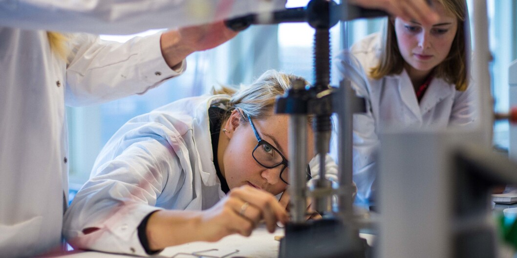 Bioteknologi- og kjemiingeniørstudentene ved Høgskolen i Oslo og Akershus bruker mye tid i laboratorium. Foto: Siri Ø. Eriksen Bioteknologi- og kjemiingeniørstudentene ved Høgskolen i Oslo og Akershus bruker mye tid i laboratorium. Foto: Siri Ø. Eriksen