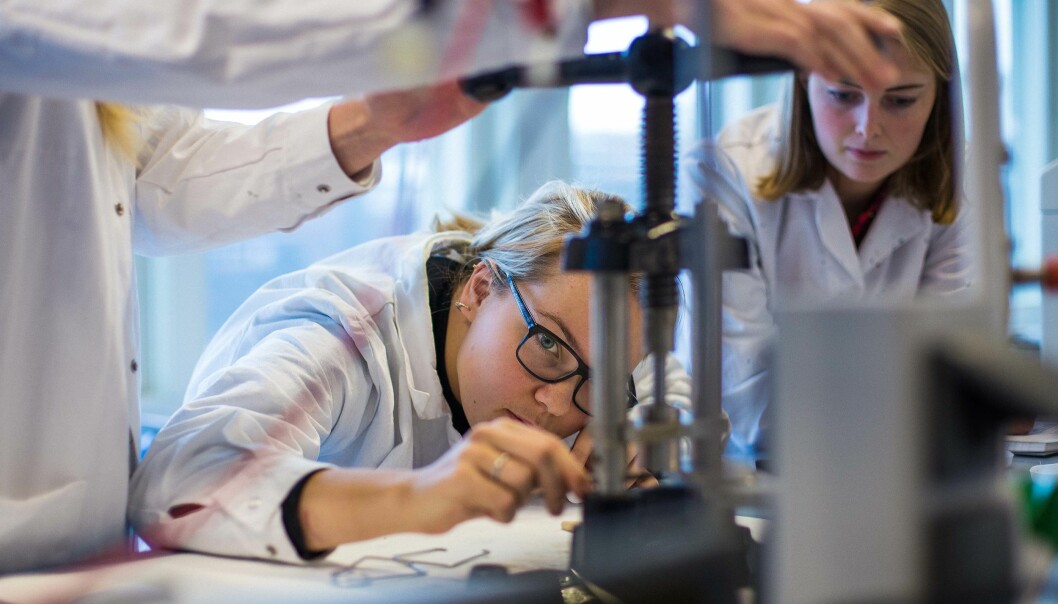 Bioteknologi- og kjemiingeniørstudentene ved Høgskolen i Oslo og Akershus bruker mye tid i laboratorium. Foto: Siri Ø. Eriksen