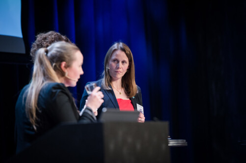 Lise Lyngsnes Randeberg i paneldebatt. Lise Lyngsnes Randeberg i paneldebatt.