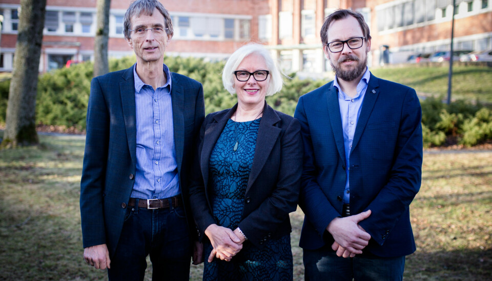 Hans Blom, Harald Holone og Unni Hagen stiller som kandidater i rektorvalget ved HiØ. Foto: Henriette Dæhli