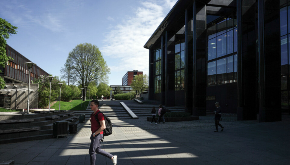 Universitet i Oslo henter mest penger gjennom EU-programmet Horisont 2020 av de norske universiteter og høgskoler. Foto: Ketil Blom