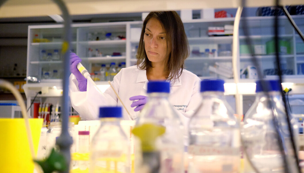 Cinzia Progida er en av åtte kvinnelige forskere som får spesiell oppfølging på Instituttet for Biovitenskap. Hun sier hun ser en økt bevissthet rundt likestilling på arbeidsplassen. Cinzia Progida er en av åtte kvinnelige forskere som får spesiell oppfølging på Instituttet for Biovitenskap. Hun sier hun ser en økt bevissthet rundt likestilling på arbeidsplassen.