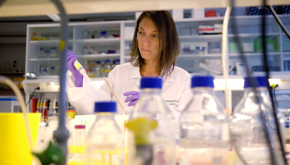 Cinzia Progida er en av åtte kvinnelige forskere som får spesiell oppfølging på Instituttet for Biovitenskap. Hun sier hun ser en økt bevissthet rundt likestilling på arbeidsplassen.