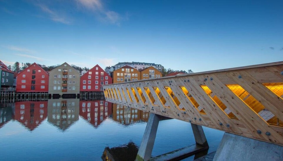 Ifjor var det arkitekturprosjekter gjennom NTNU Live Studio som fikk utdanningskvalitetspris fra NOKUT. Denne 12 meter lange utkikksbroen over Nidelven er et av prosjektene som er gjort gjennom Live Studio. Foto: Sophie Labonnote-Weber.