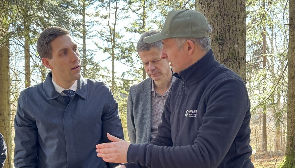 Fire nye forskningssentre får en halv milliard kroner