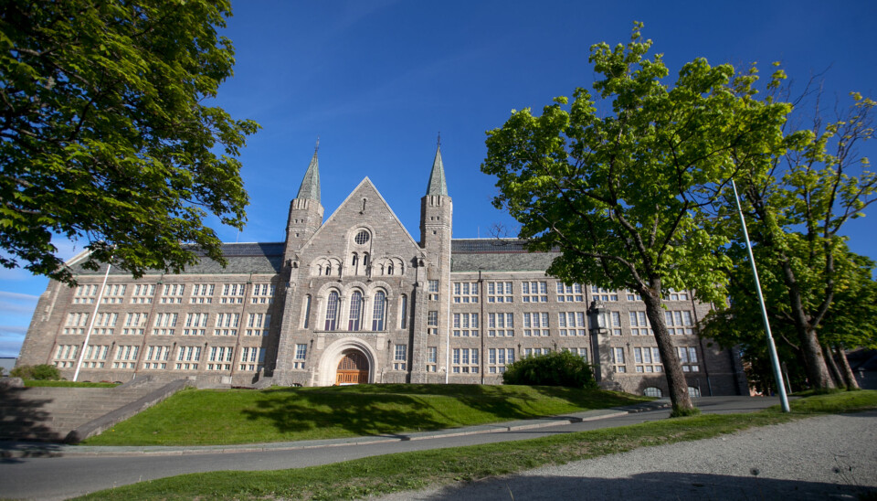NTNU trondheim i sommersol Foto: Nicklas Knudsen