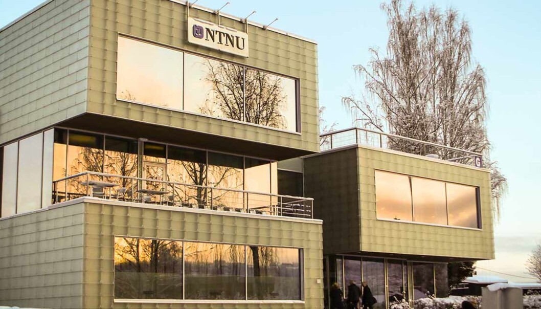 En emneansvarlig ved NTNU Gjøvik “glemte” kvalitetssjekken på nynorsken før eksamensoppgavene ble delt ut. Foto: NTNU/Marte Helene Foss En emneansvarlig ved NTNU Gjøvik “glemte” kvalitetssjekken på nynorsken før eksamensoppgavene ble delt ut. Foto: NTNU/Marte Helene Foss