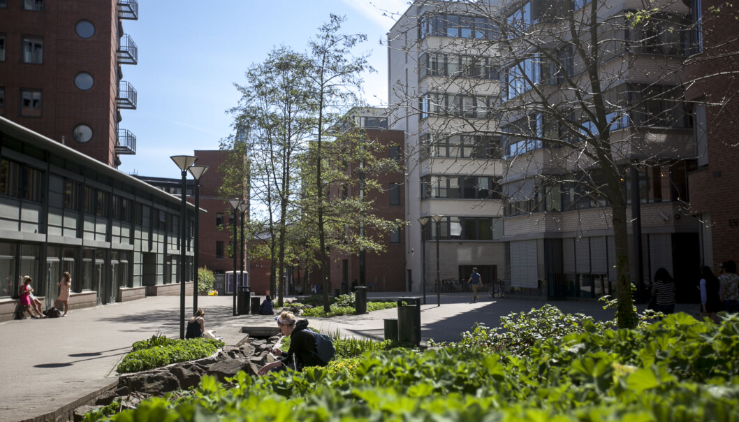 Valg av navn for universitetet Høgskolen i Oslo og Akershus lar vente på seg, i alle fall til over sommeren. Foto: Nicklas Knudsen Valg av navn for universitetet Høgskolen i Oslo og Akershus lar vente på seg, i alle fall til over sommeren. Foto: Nicklas Knudsen