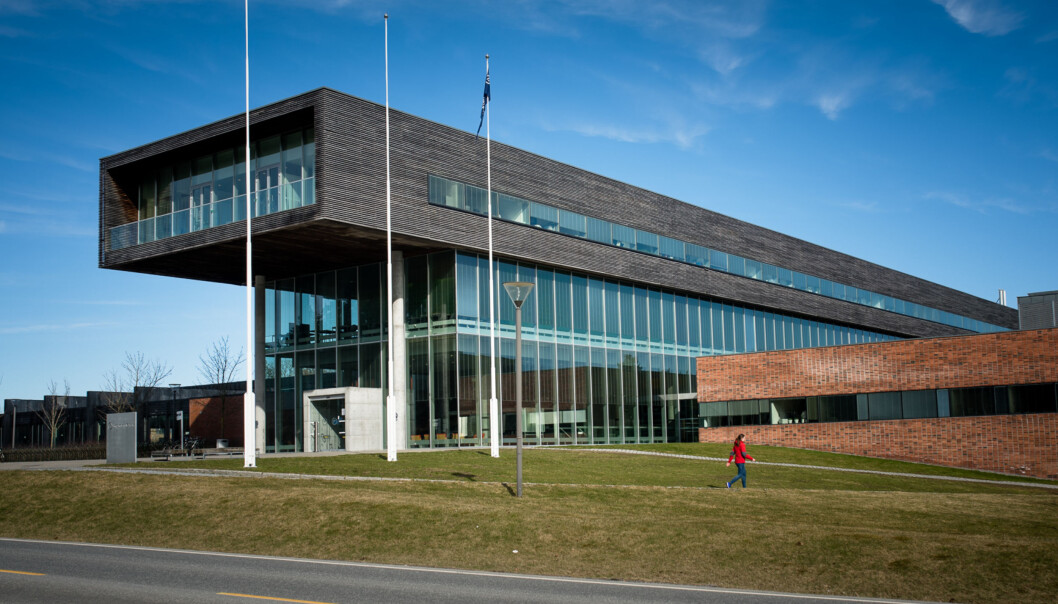 Studentene som forteller at de ble dopet ned, studerer ved Høgskolen i Østfold. Her representert ved Campus Halden. Det er ikke visst ved hvilket campus hendelsene skal ha funnet sted. Foto: Skjalg Bøhmer Vold Studentene som forteller at de ble dopet ned, studerer ved Høgskolen i Østfold. Her representert ved Campus Halden. Det er ikke visst ved hvilket campus hendelsene skal ha funnet sted. Foto: Skjalg Bøhmer Vold