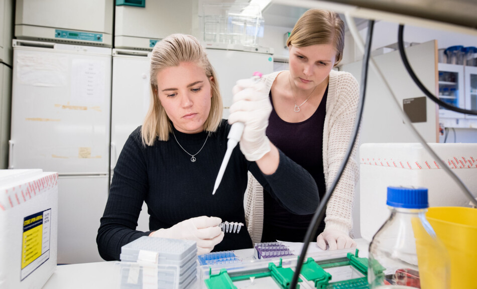 Den kunnskapen studentstemmen kan gi oss om opplevd og erfart kvalitet, kan bidra til å nyansere kvalitetsbegrepet og utfordre den dominerende forståelsen konsentrert om effektivitet, målbarhet og nytte, skriver innleggsforfatter. Foto: Skjalg Bøhmer Vold Den kunnskapen studentstemmen kan gi oss om opplevd og erfart kvalitet, kan bidra til å nyansere kvalitetsbegrepet og utfordre den dominerende forståelsen konsentrert om effektivitet, målbarhet og nytte, skriver innleggsforfatter. Foto: Skjalg Bøhmer Vold