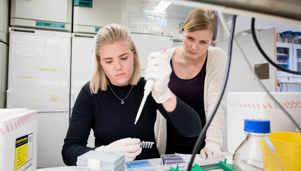 Biotekonlogi og kjemi-studentene Line Mykland og Renée Ellefsen tror gutter stryker mer enn jenter fordi de er mer ukonsentrerte. Foto: Skjalg Bøhmer Vold