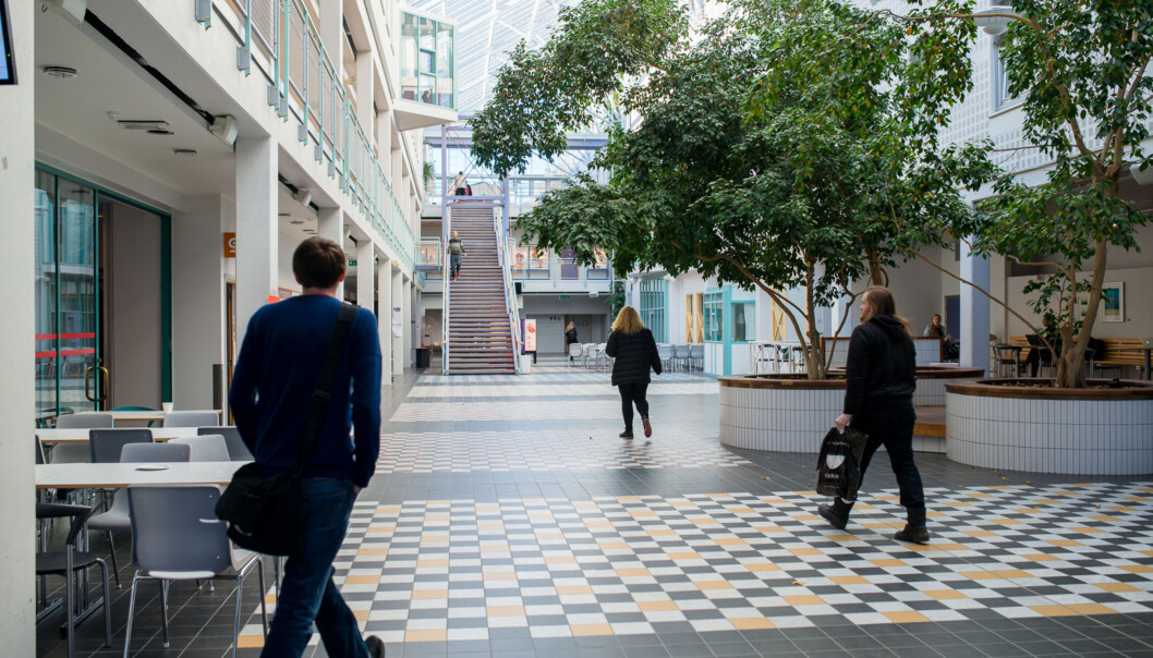 Fra campus i Tromsø, UiT Norges arktiske universitet. Foto: Skjalg Bøhmer Vold Fra campus i Tromsø, UiT Norges arktiske universitet. Foto: Skjalg Bøhmer Vold