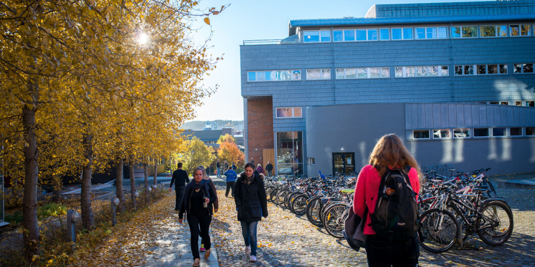 Den knappa tid som lagts ned i arbetet med omorganiseringen ved UiT har föranlett en bekväm metodik som tagit sin utgångspunkt i schematiska perspektiv med allt för mycket distans till den faktiska verksamheten med forskning och undervisning. Foto: Skjalg Bøhmer Vold Den knappa tid som lagts ned i arbetet med omorganiseringen ved UiT har föranlett en bekväm metodik som tagit sin utgångspunkt i schematiska perspektiv med allt för mycket distans till den faktiska verksamheten med forskning och undervisning. Foto: Skjalg Bøhmer Vold