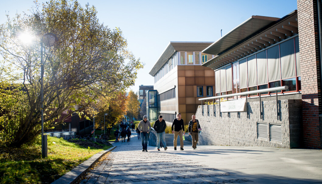 Det er på tampen at 48 år gamle Universitetet i Tromsø kan hevde seg på rankinglista over de beste unviersitetene i verden under 50 år. Bildet er fra campus i Brevika. Foto: Skjalg Bøhmer Vold Det er på tampen at 48 år gamle Universitetet i Tromsø kan hevde seg på rankinglista over de beste unviersitetene i verden under 50 år. Bildet er fra campus i Brevika. Foto: Skjalg Bøhmer Vold
