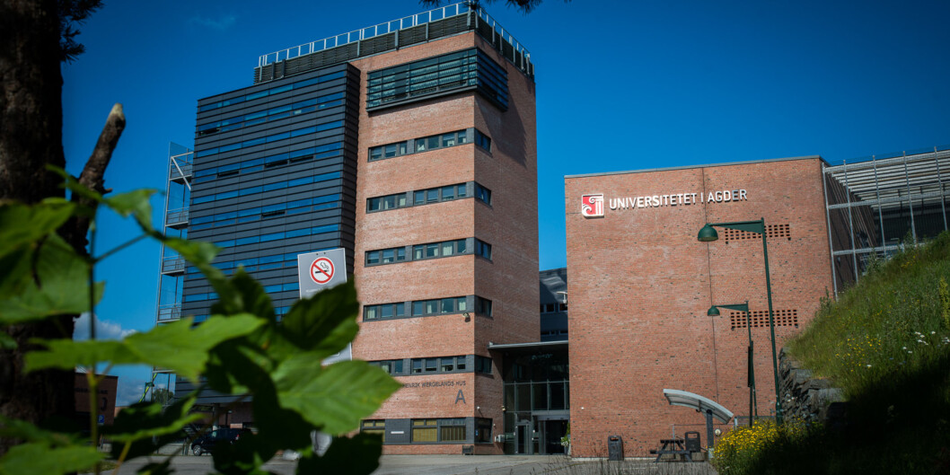 Campus Kristiansand, Universitetet i Agder. Foto: Skjalg Bøhme Vold Campus Kristiansand, Universitetet i Agder. Foto: Skjalg Bøhme Vold