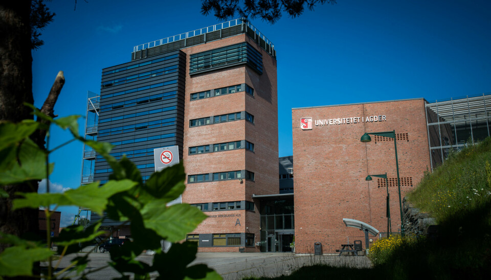 Campus Kristiansand, Universitetet i Agder. Foto: Skjalg Bøhme Vold