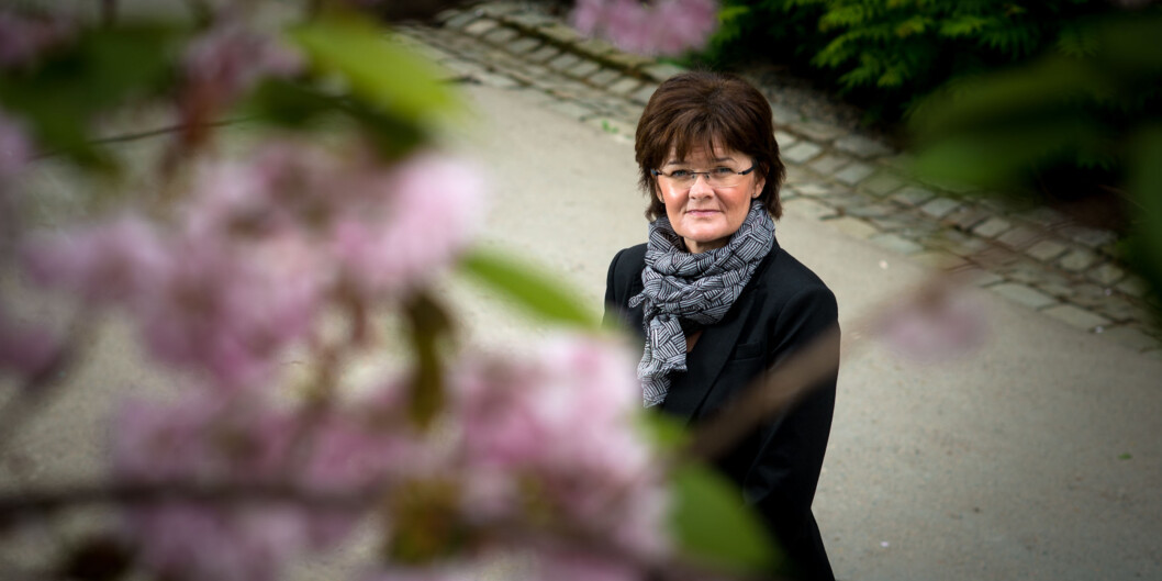 Trine Ellekjær leder Handelshøyskolen som er et institutt ved OsloMet. Nå fusjonerer Handelshøyskolen med Institutt for offentlig administrasjon og ledelse og School of Management. Foto: Skjalg Bøhmer Vold Trine Ellekjær leder Handelshøyskolen som er et institutt ved OsloMet. Nå fusjonerer Handelshøyskolen med Institutt for offentlig administrasjon og ledelse og School of Management. Foto: Skjalg Bøhmer Vold