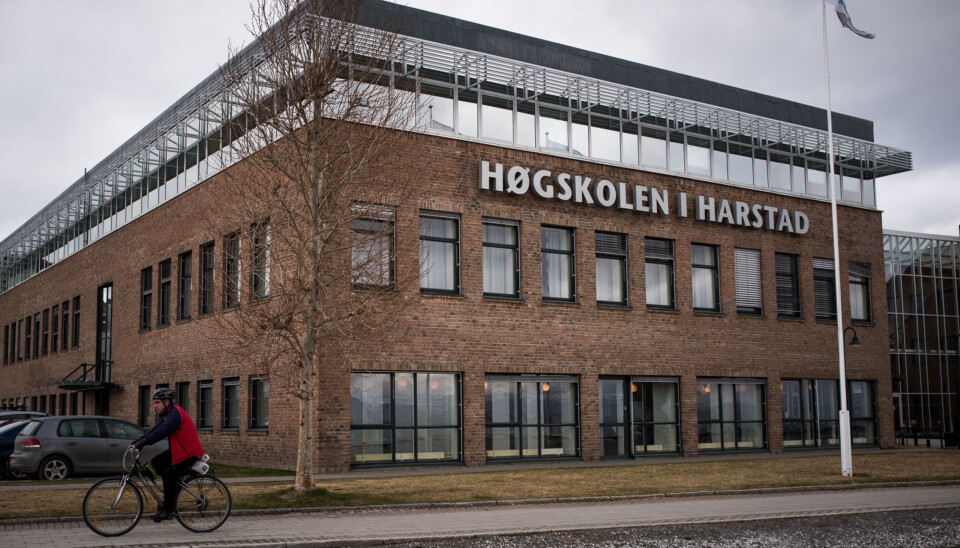 Høgskolen i Harstad er ikke lovet noe fakultet når det blir en del av UiT-Norges arktiske universitet. Det mener en gruppe ansatte ved høgskolen er helt feil. Foto: Skjalg Bøhmer Vold