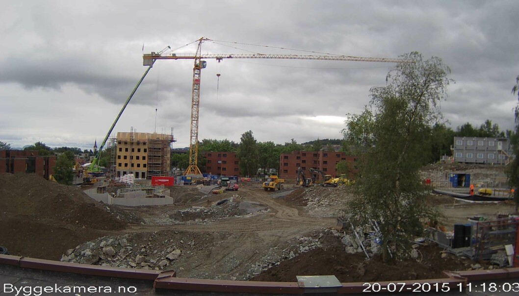 Over 600 nye studentboliger skyter i disse dager opp av bakken på Moholt studentby i Trondheim. Byggkamera: Samskipnaden i Trondheim (SiT)