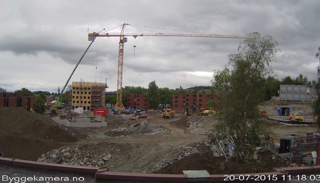 Over 600 nye studentboliger skyter i disse dager opp av bakken på Moholt studentby i Trondheim. Byggkamera: Samskipnaden i Trondheim (SiT) Over 600 nye studentboliger skyter i disse dager opp av bakken på Moholt studentby i Trondheim. Byggkamera: Samskipnaden i Trondheim (SiT)