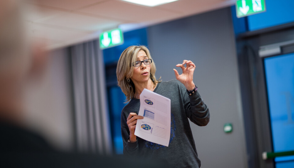 Dekan Nina Waaler fikk ikke på plass ny leder på det nye, store fusjonerte Institutt for sykepleie og helsefremmende arbeid før hun reiste på ferie onsdag. Instituttet etableres 1. august. Foto: Skjalg Bøhmer Vold