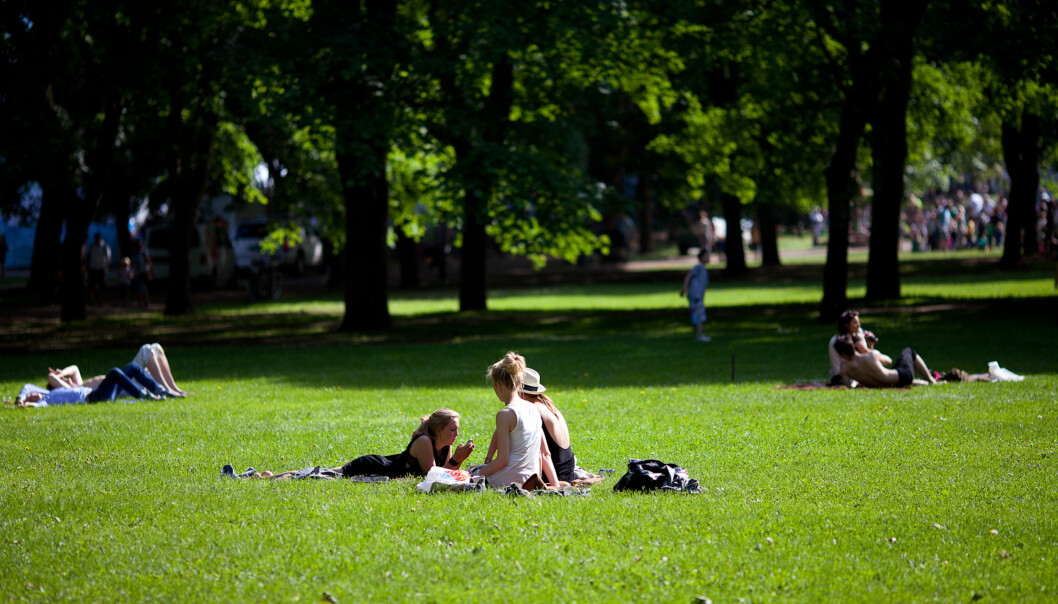 For mange er Oslo-sommer det samme som å ligge i parken hele dagen - og det beste av alt: Det er helt gratis! Foto: Runar Eilertsen, Creative commons, flickr.