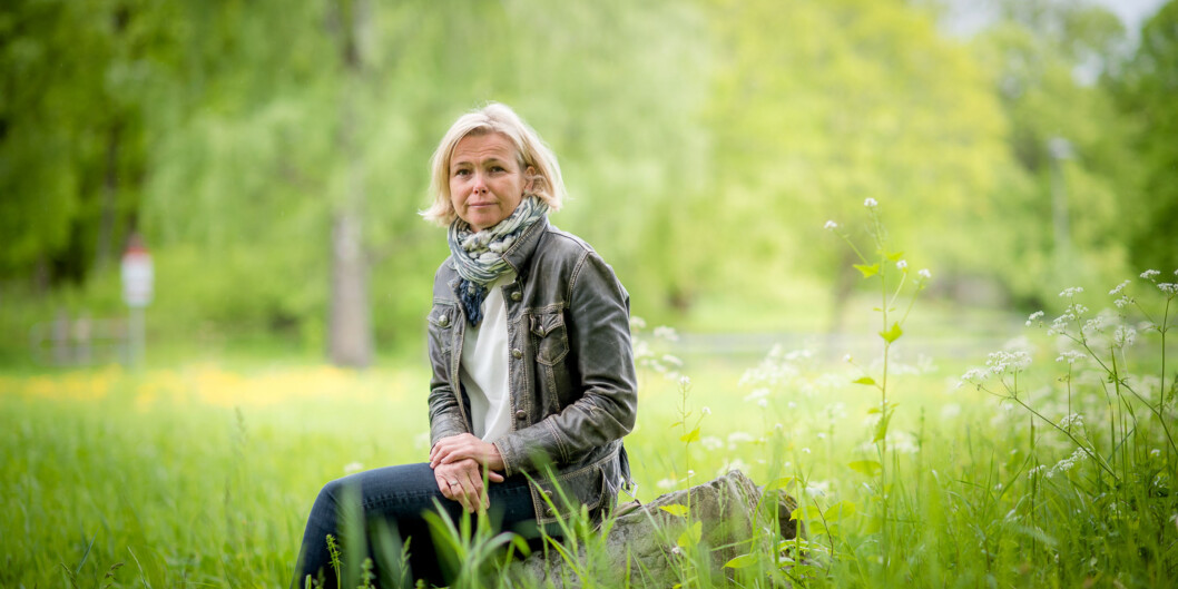 Kari Toverud Jensen skal ha et sabbatsår, og blant annet være i seks måneder på University of Edinburgh, etter at hun går av som rektor på Høgskolen i Oslo og Akershus 31. juli. Foto: Skjalg Bøhmer Vold Kari Toverud Jensen skal ha et sabbatsår, og blant annet være i seks måneder på University of Edinburgh, etter at hun går av som rektor på Høgskolen i Oslo og Akershus 31. juli. Foto: Skjalg Bøhmer Vold