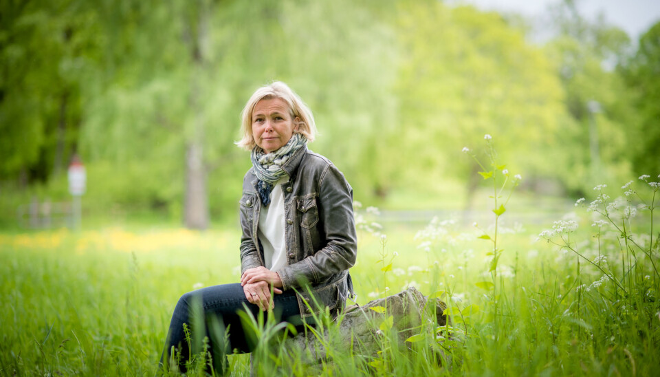 Kari Toverud Jensen skal ha et sabbatsår, og blant annet være i seks måneder på University of Edinburgh, etter at hun går av som rektor på Høgskolen i Oslo og Akershus 31. juli. Foto: Skjalg Bøhmer Vold