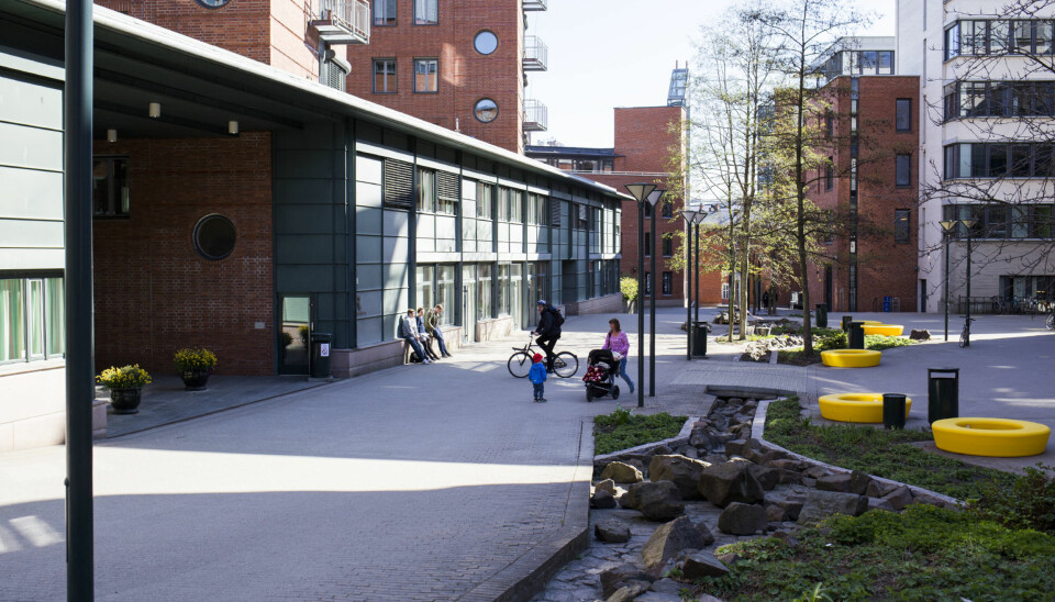Høgskolen i Oslo og Akershus er blant de med flest byråkrater og størst administrasjon. Foto: Øyvind Aukrust