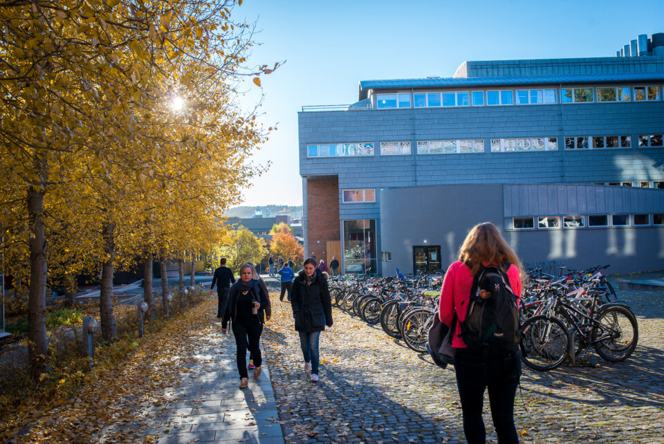30 prosent stemte i studentvalg i Bergen