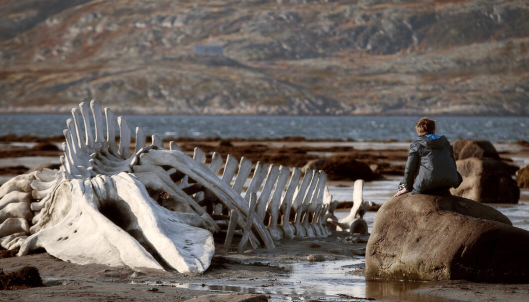 Ett av de mest kjente og brukte bildene fra den russiske filmen Leviathan som har Norgespremiere i dag. FOTO: Arthaus Ett av de mest kjente og brukte bildene fra den russiske filmen Leviathan som har Norgespremiere i dag. FOTO: Arthaus