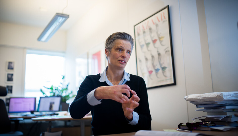 Professor Signy Vabo og utvalget hun har ledet får ikke gjennomslag for en minstestørrelse på norske kommuner på 15.000-20.000 innbyggere. Det er ikke stortingsflertall for dette. Foto: Skjalg Bøhmer Vold