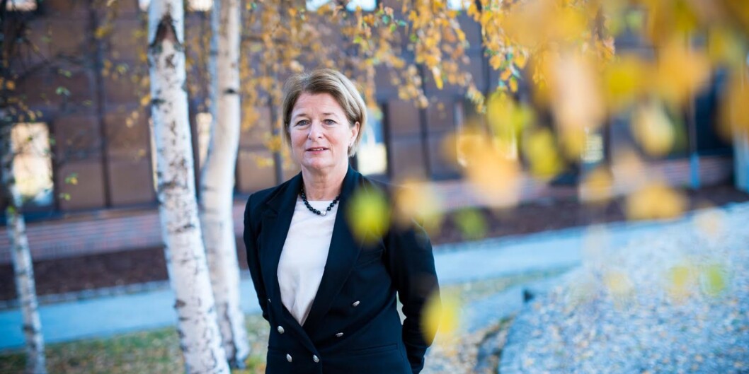 Rektor Anne Husebekk ved UiT-Norges arktiske universitet mener regjeringen undervurderer hva fusjoner koster. Rektor Anne Husebekk ved UiT-Norges arktiske universitet mener regjeringen undervurderer hva fusjoner koster.
