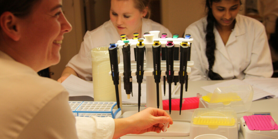Farmasi, bioingeniørfag, radiografi og tannteknikk skal samles i ett institutt på Høgskolen i Oslo og Akershus fra 1. august i år. Nå er en ekstern instituttleder tilsatt. Foto: Marit Christiansen/HiOA Farmasi, bioingeniørfag, radiografi og tannteknikk skal samles i ett institutt på Høgskolen i Oslo og Akershus fra 1. august i år. Nå er en ekstern instituttleder tilsatt. Foto: Marit Christiansen/HiOA
